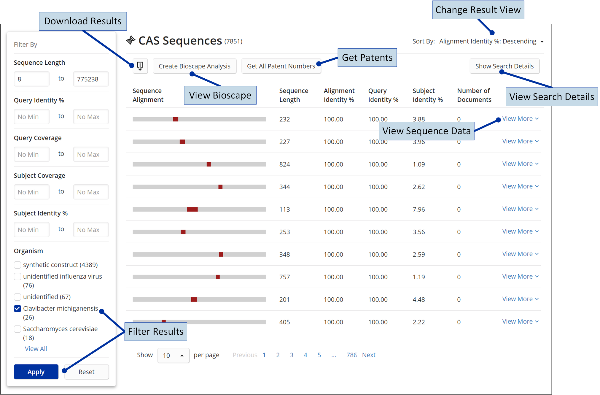 Motif Results Overview CAS STNext