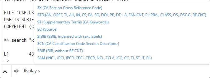 _AutosuggestDisplayFormat.png