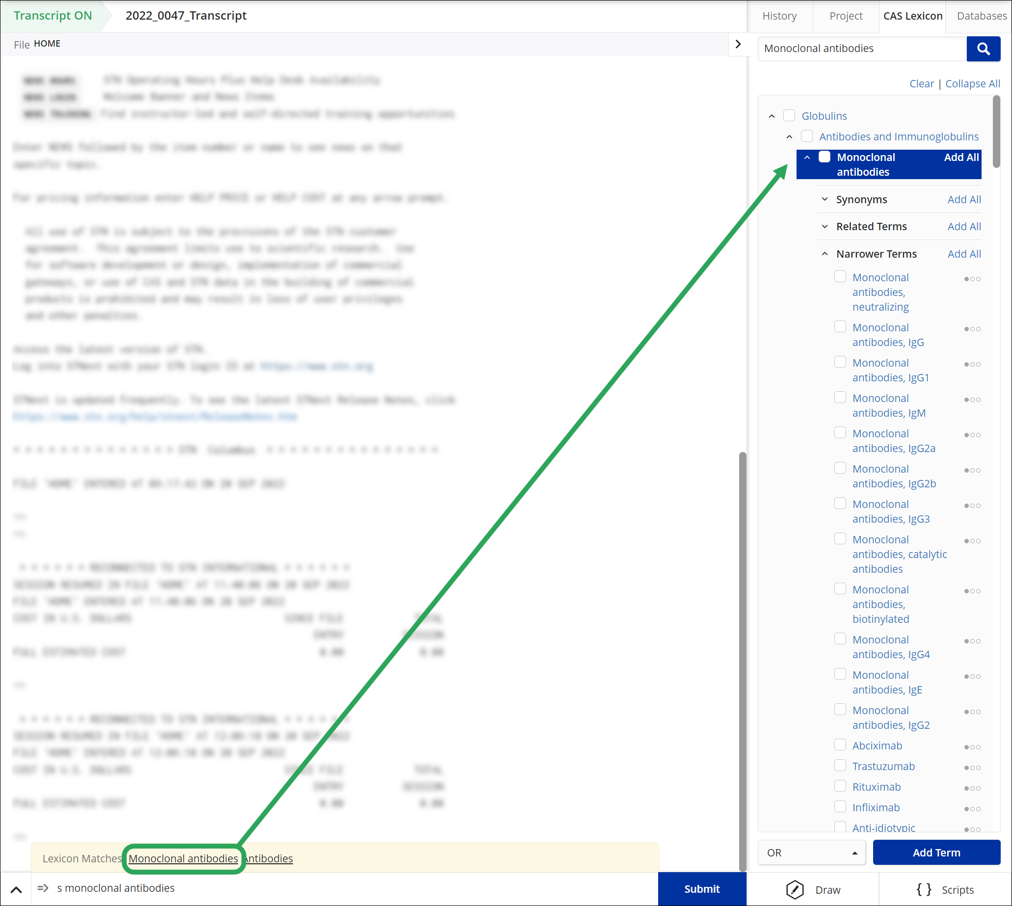 _STNext-Preferences-LexiconMatches-ClickedTerm.png