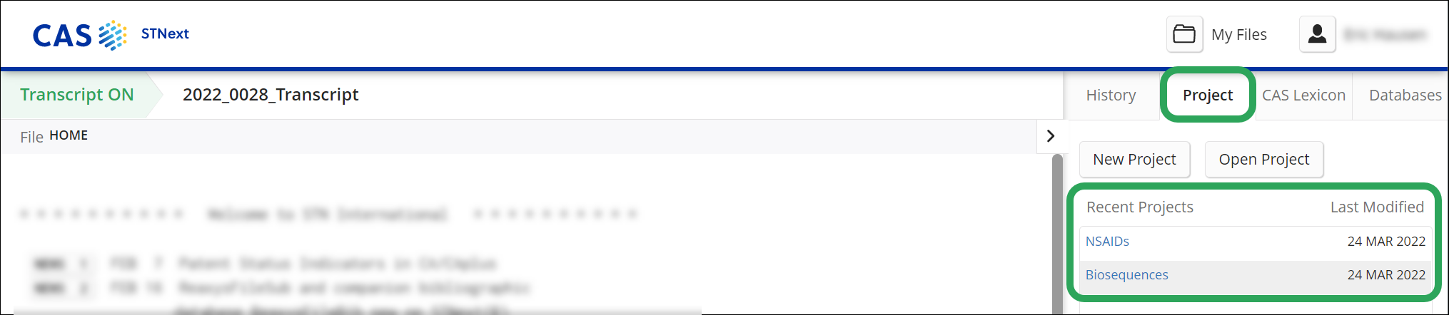 _STNext-ProjectTab.png