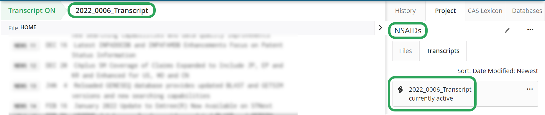 _STNext-Projects-NewProjectActiveTranscript.png
