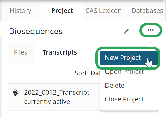 _STNext-ProjectTab-EllipsisMenu-NewProject.png