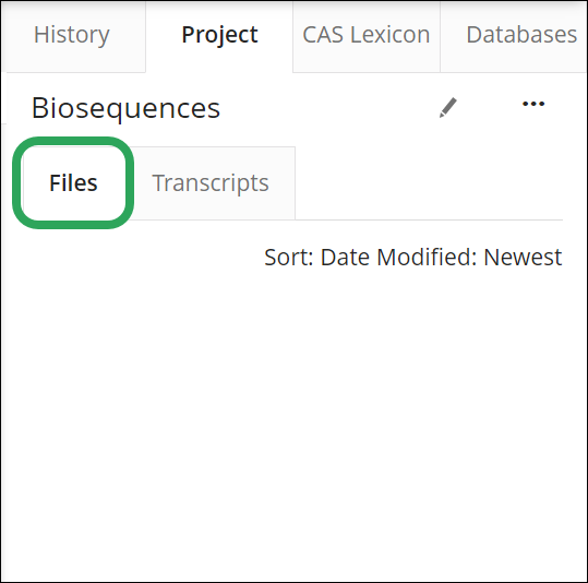 _STNext-ProjectTab-Files-NoFiles.png