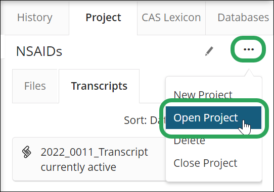 _STNext-Projects-EllipsisMenu-OpenProject.png