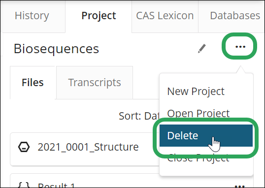 _STNext-Projects-EllipsisMenu-DeleteProject.png