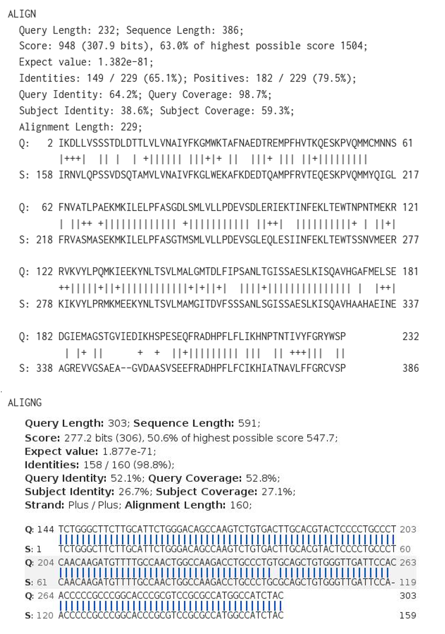 STNext-GENESEQ-USGENE-PATGENE-AlignmentInformation-3.png