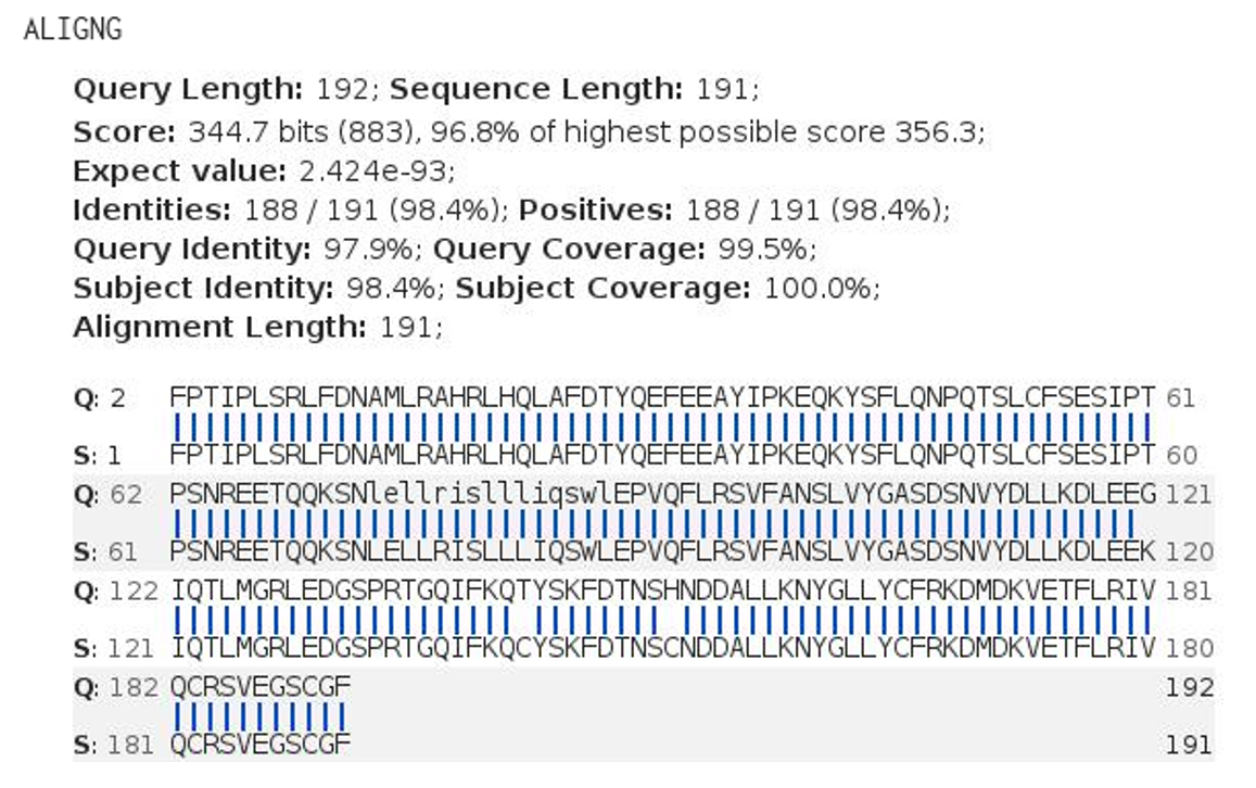 STNext-GENESEQ-USGENE-PATGENE-SequenceSimilaritySearching-BLASTorGETSIM-9.png